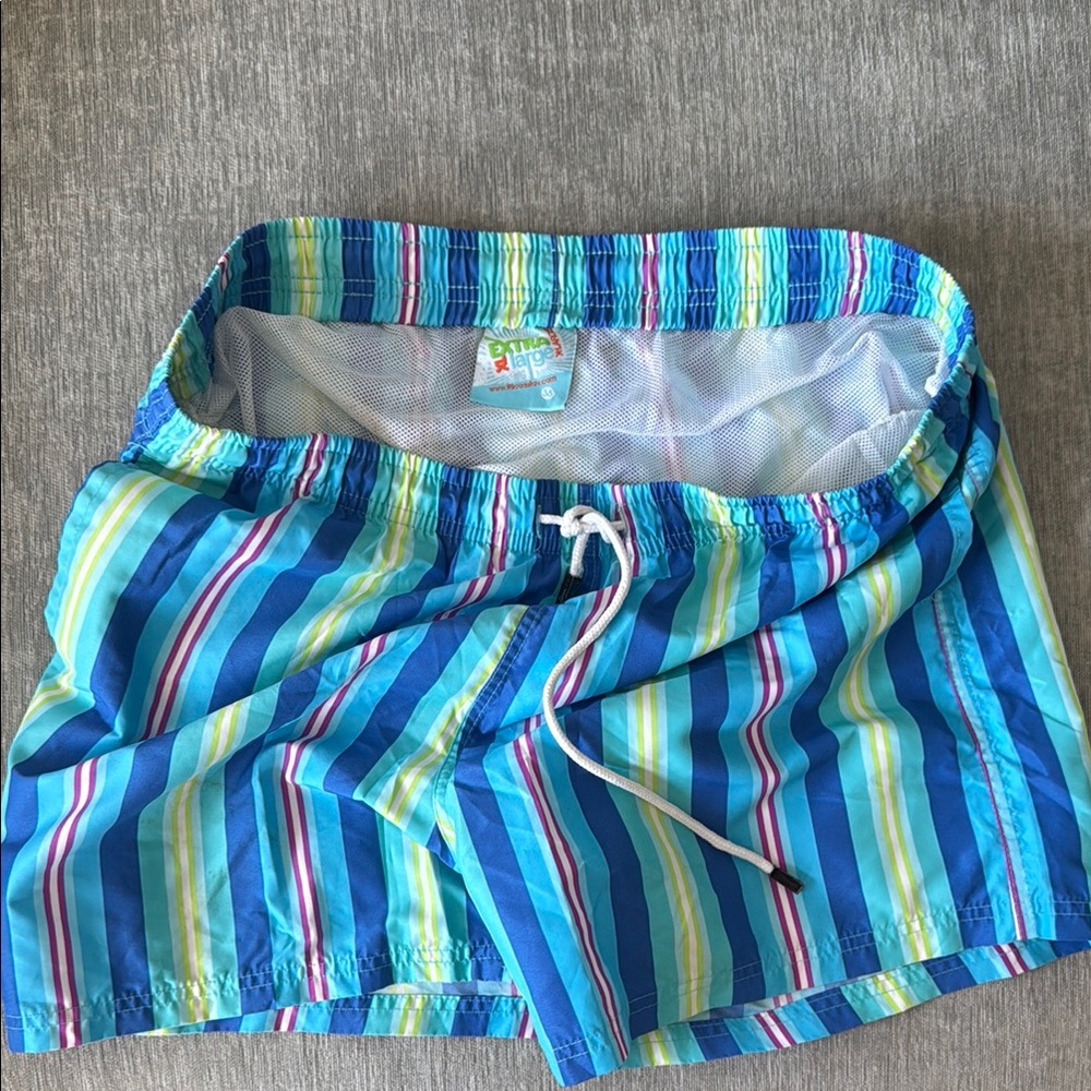 Blue Striped Swim Trunks